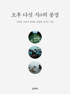 cover image of 오후 다섯 시(詩)의 풍경